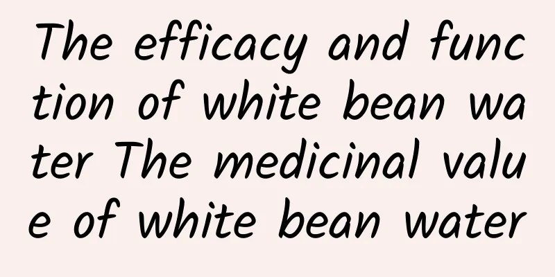 The efficacy and function of white bean water The medicinal value of white bean water