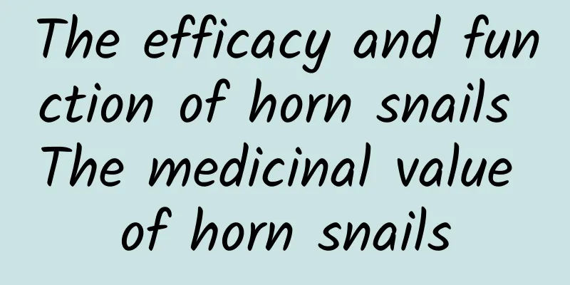 The efficacy and function of horn snails The medicinal value of horn snails