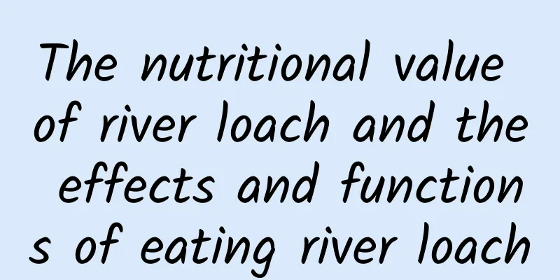 The nutritional value of river loach and the effects and functions of eating river loach