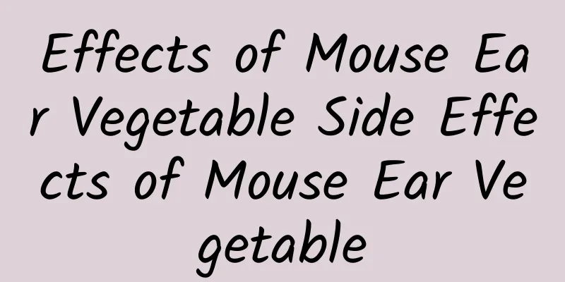 Effects of Mouse Ear Vegetable Side Effects of Mouse Ear Vegetable