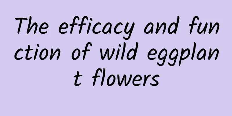 The efficacy and function of wild eggplant flowers