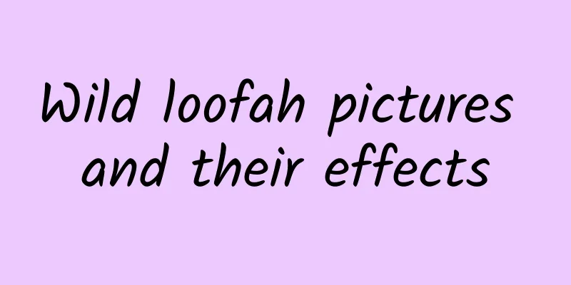 Wild loofah pictures and their effects