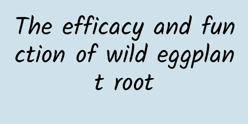 The efficacy and function of wild eggplant root