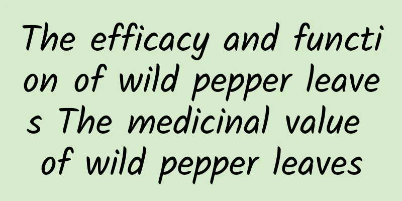 The efficacy and function of wild pepper leaves The medicinal value of wild pepper leaves