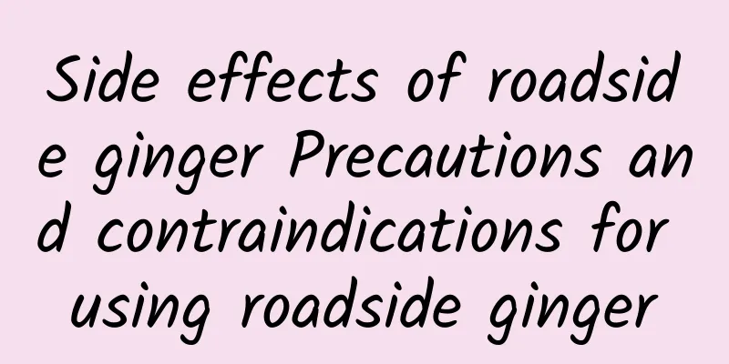 Side effects of roadside ginger Precautions and contraindications for using roadside ginger