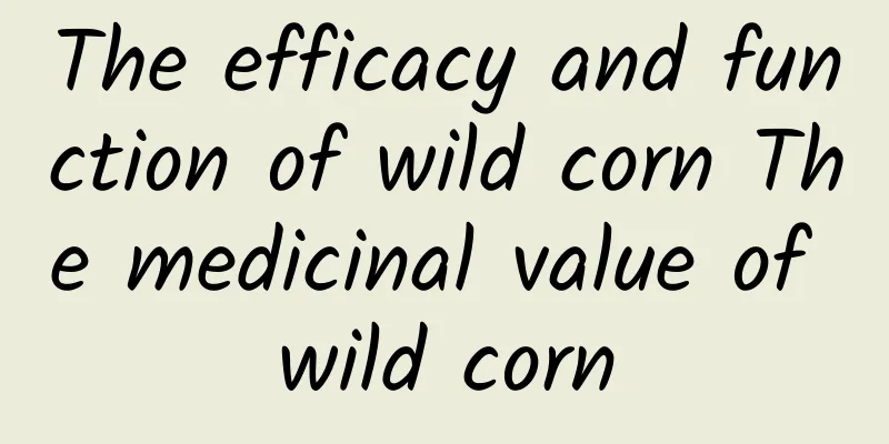 The efficacy and function of wild corn The medicinal value of wild corn