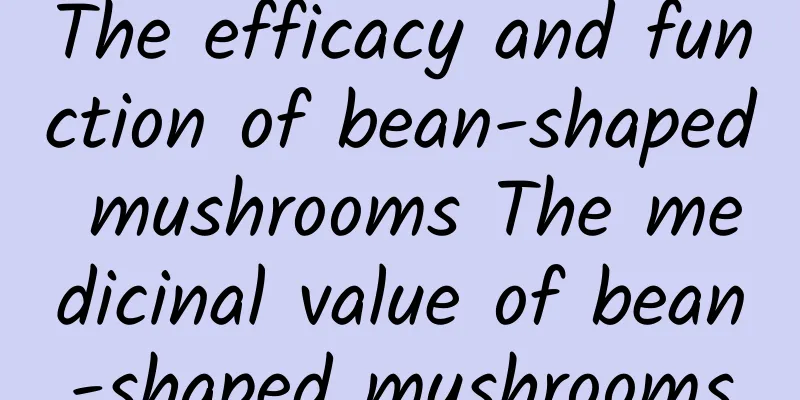 The efficacy and function of bean-shaped mushrooms The medicinal value of bean-shaped mushrooms