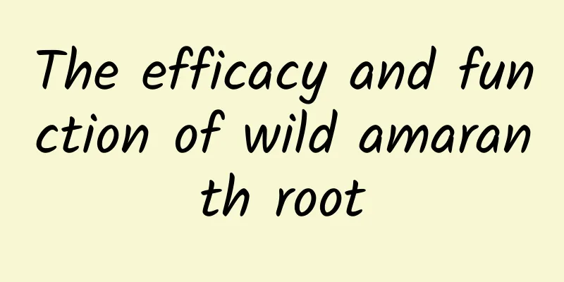 The efficacy and function of wild amaranth root