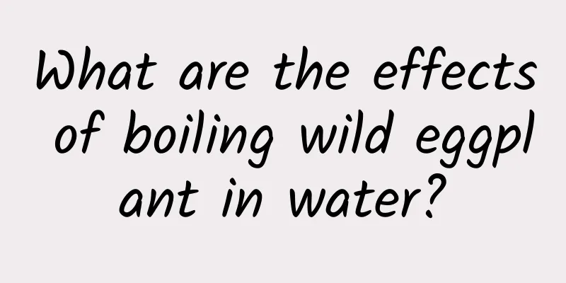 What are the effects of boiling wild eggplant in water?