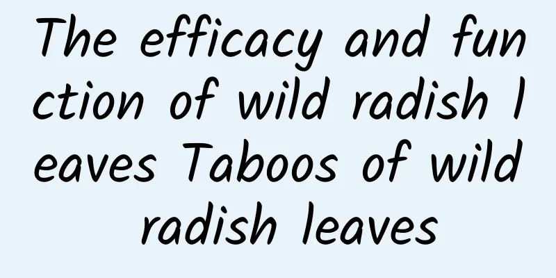 The efficacy and function of wild radish leaves Taboos of wild radish leaves