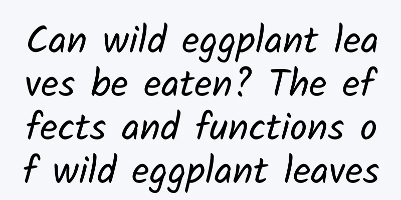 Can wild eggplant leaves be eaten? The effects and functions of wild eggplant leaves