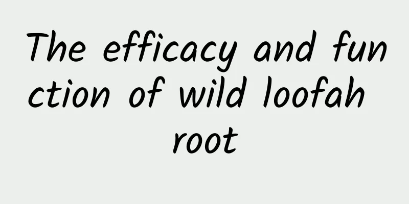 The efficacy and function of wild loofah root