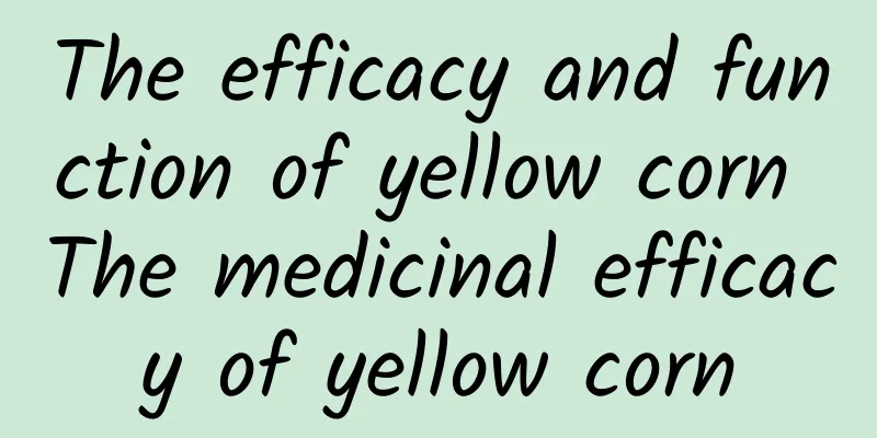 The efficacy and function of yellow corn The medicinal efficacy of yellow corn