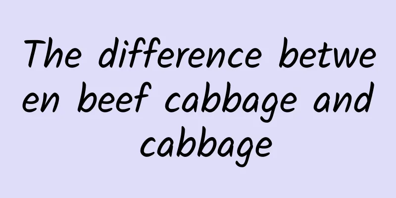 The difference between beef cabbage and cabbage