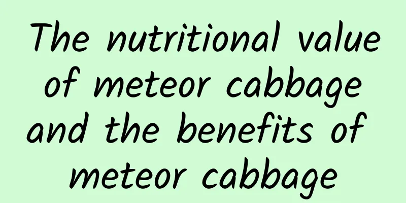 The nutritional value of meteor cabbage and the benefits of meteor cabbage