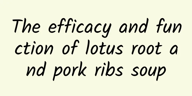 The efficacy and function of lotus root and pork ribs soup