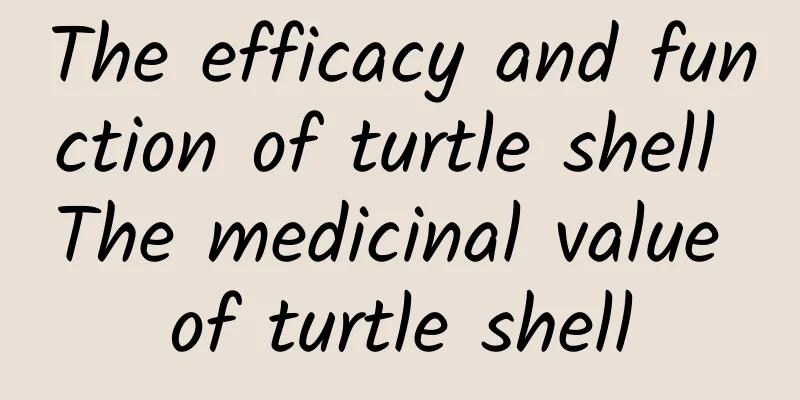 The efficacy and function of turtle shell The medicinal value of turtle shell