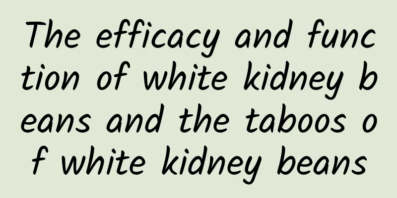 The efficacy and function of white kidney beans and the taboos of white kidney beans