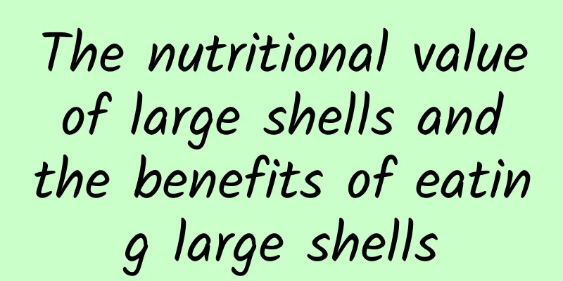 The nutritional value of large shells and the benefits of eating large shells