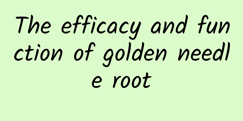 The efficacy and function of golden needle root