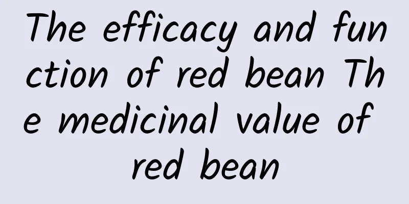 The efficacy and function of red bean The medicinal value of red bean