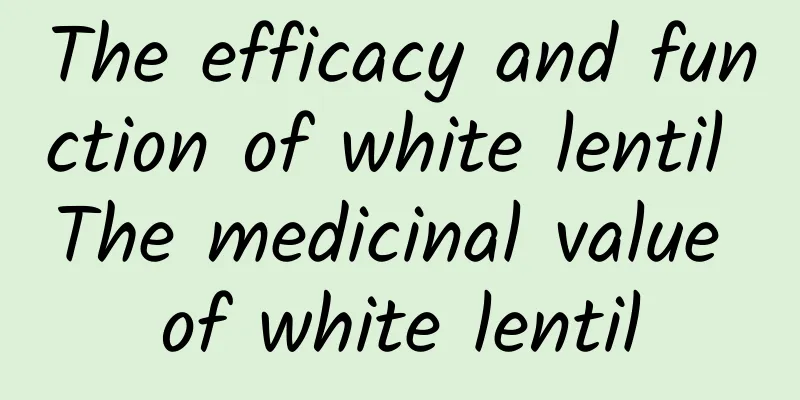 The efficacy and function of white lentil The medicinal value of white lentil