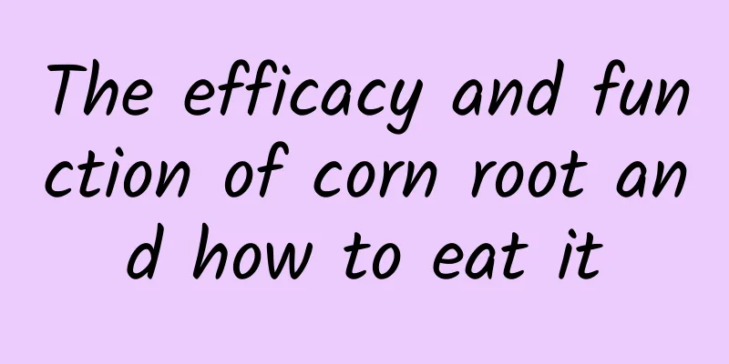 The efficacy and function of corn root and how to eat it