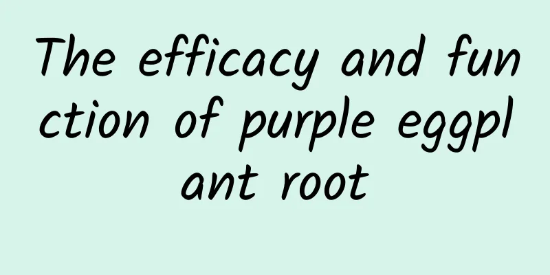 The efficacy and function of purple eggplant root