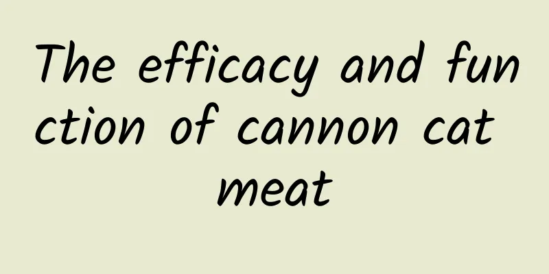 The efficacy and function of cannon cat meat