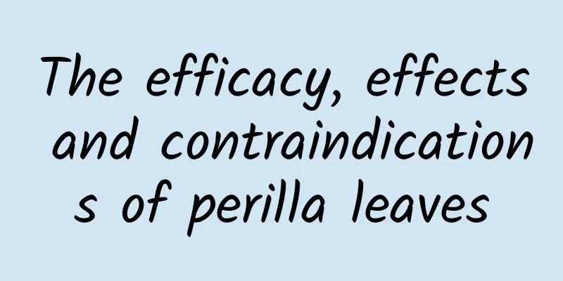 The efficacy, effects and contraindications of perilla leaves