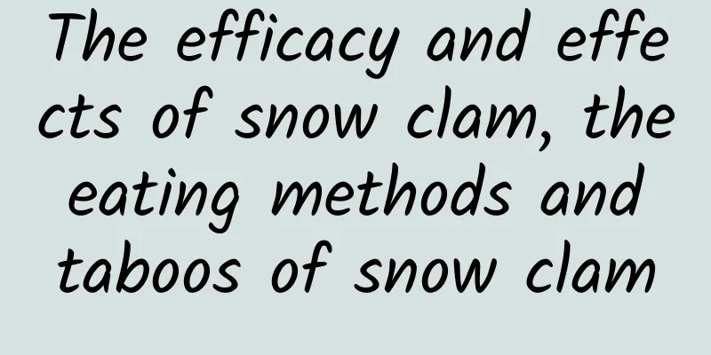 The efficacy and effects of snow clam, the eating methods and taboos of snow clam