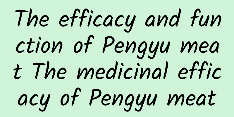 The efficacy and function of Pengyu meat The medicinal efficacy of Pengyu meat