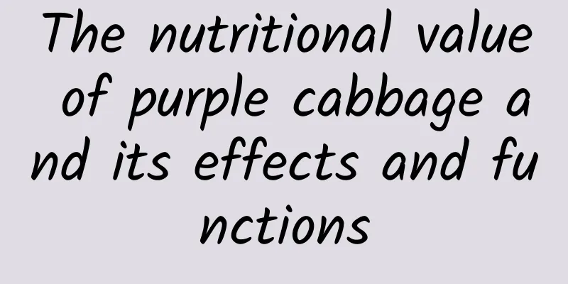 The nutritional value of purple cabbage and its effects and functions