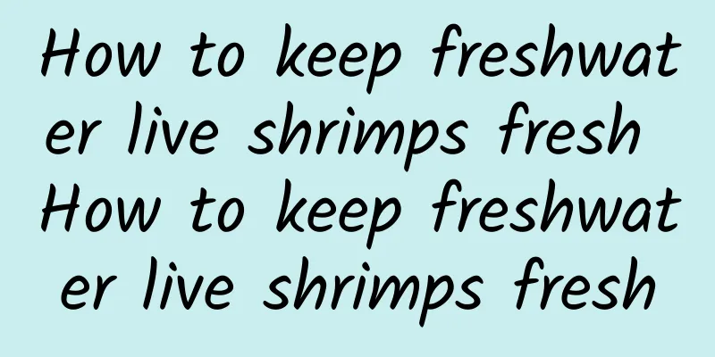 How to keep freshwater live shrimps fresh How to keep freshwater live shrimps fresh