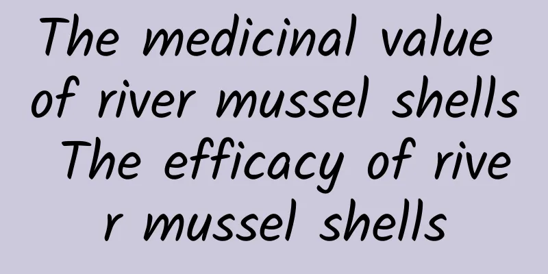 The medicinal value of river mussel shells The efficacy of river mussel shells