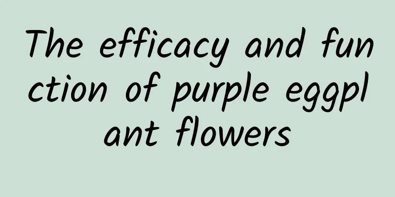 The efficacy and function of purple eggplant flowers