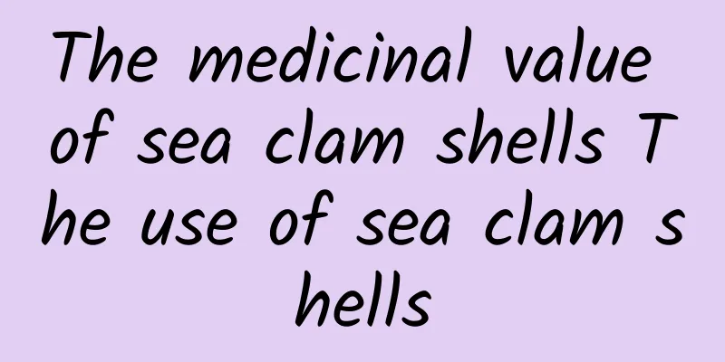 The medicinal value of sea clam shells The use of sea clam shells