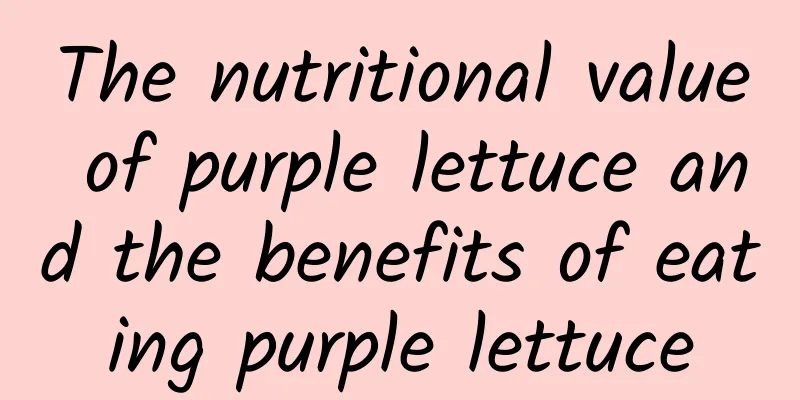 The nutritional value of purple lettuce and the benefits of eating purple lettuce