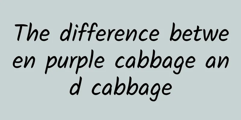 The difference between purple cabbage and cabbage