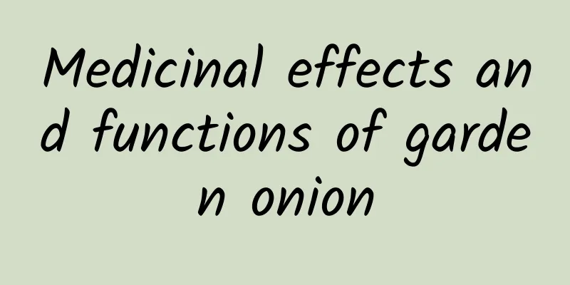 Medicinal effects and functions of garden onion