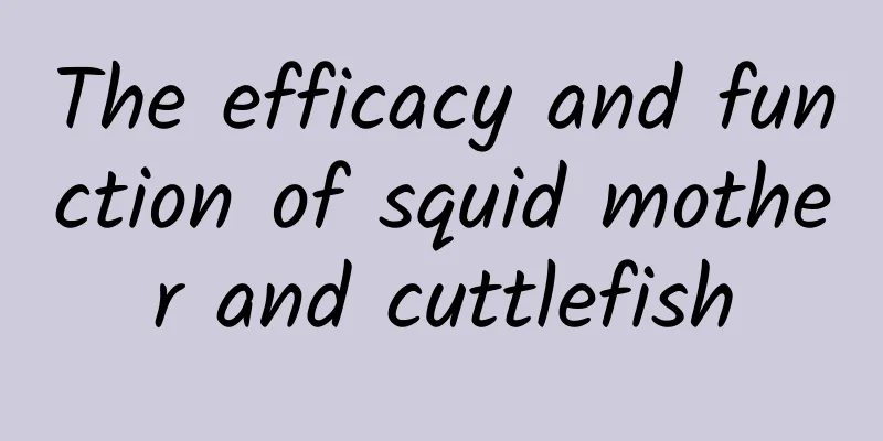 The efficacy and function of squid mother and cuttlefish