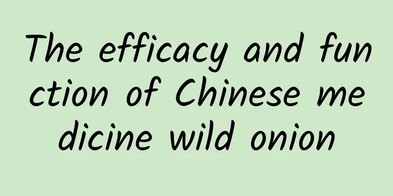 The efficacy and function of Chinese medicine wild onion