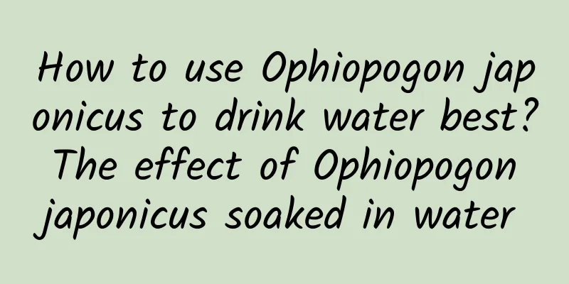 How to use Ophiopogon japonicus to drink water best? The effect of Ophiopogon japonicus soaked in water