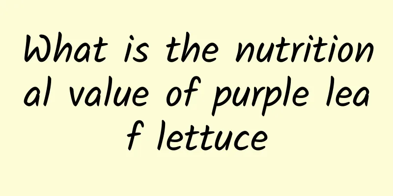 What is the nutritional value of purple leaf lettuce