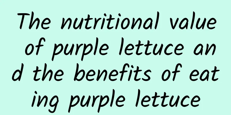 The nutritional value of purple lettuce and the benefits of eating purple lettuce