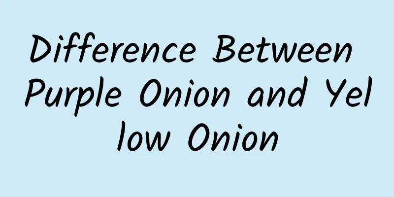 Difference Between Purple Onion and Yellow Onion