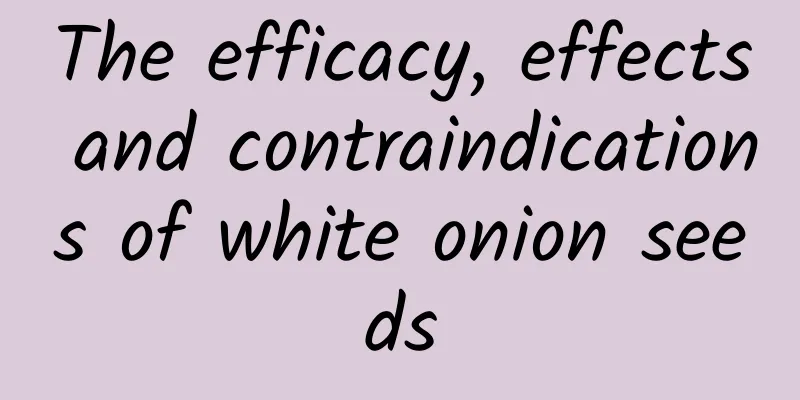 The efficacy, effects and contraindications of white onion seeds