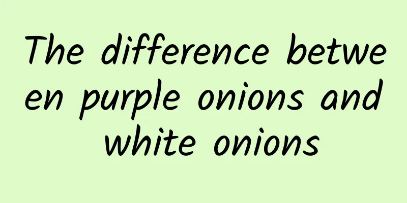 The difference between purple onions and white onions