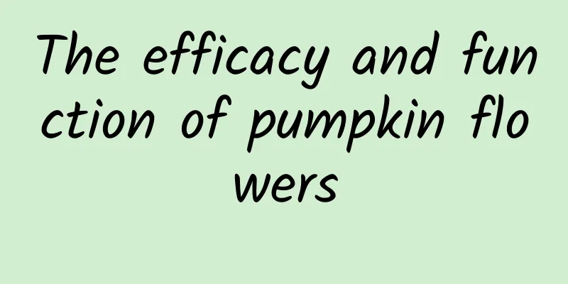 The efficacy and function of pumpkin flowers