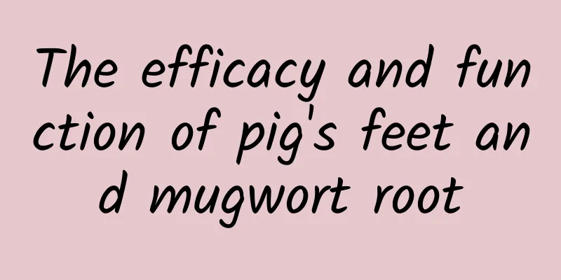 The efficacy and function of pig's feet and mugwort root